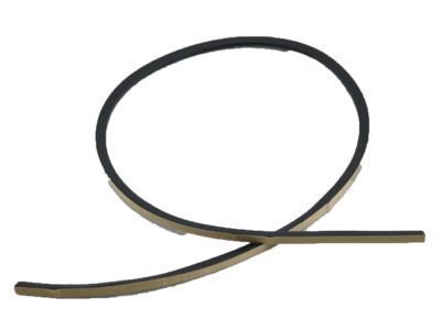 لاستیک دورشیشه جلوبالایی FJ